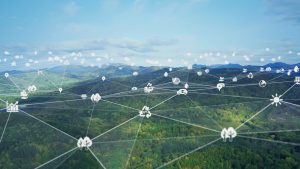 Key considerations when purchasing carbon offsets - Northmore Gordon