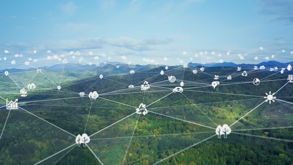 Key considerations when purchasing carbon offsets - Northmore Gordon