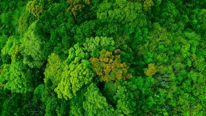 Climate Active Experts - Northmore Gordon