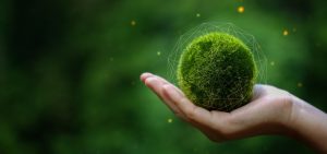 Climate Active Consultants - Northmore Gordon