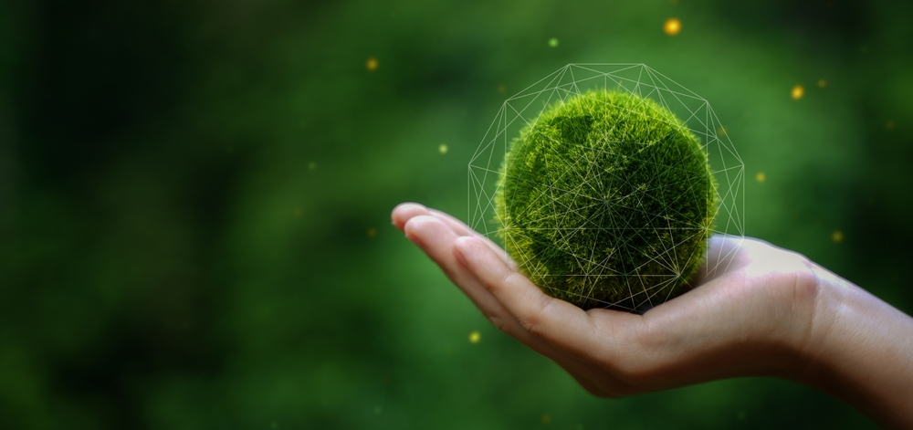 Climate Active Consultants - Northmore Gordon