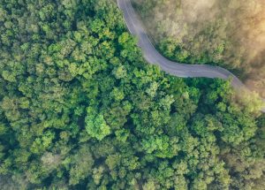 Climate Active - Navigating Environmental Certificates: A Roadmap to ESG Compliance and Transparent Reporting - Northmore Gordon