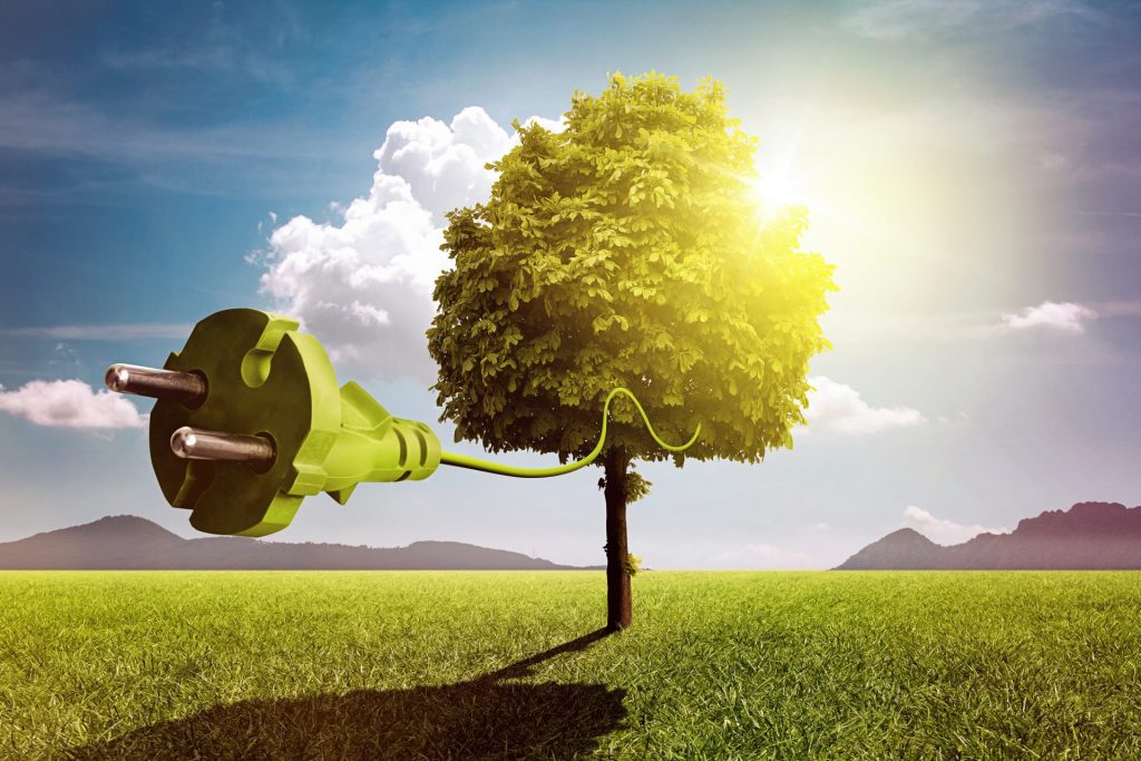 The Australian Energy Savings Schemes are having a big impact - Northmore Gordon